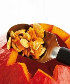 Triangle Fruchtlöffel Spirit -LEONARDO SHOP 7282060 u02 preview neu