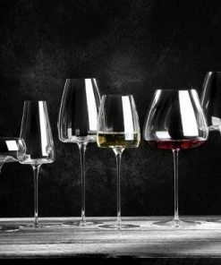 Zieher Dekanter/Karaffe Pebble -LEONARDO SHOP SF VISION 5480 09 1