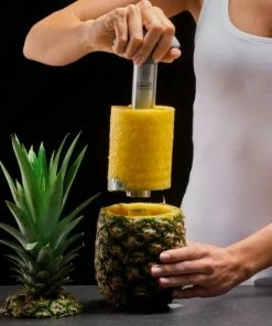 Lurch Ananasschneider 7 Lurch Ananasschneider -LEONARDO SHOP Web 3 RS2217 10246 2 Kopie l