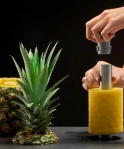 Lurch Ananasschneider 8 Lurch Ananasschneider -LEONARDO SHOP Web 4 RS2218 10246 3 Kopie l