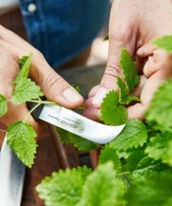 Wüsthof Erntemesser Urban Farmer -LEONARDO SHOP Wuesthof Urban Farmer 01 1