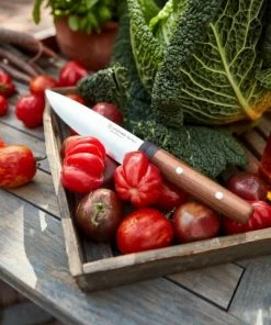 Wüsthof Erntemesser Urban Farmer -LEONARDO SHOP Wuesthof Urban Farmer 02 1